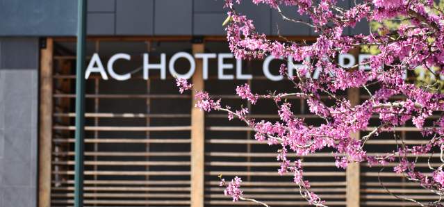 AC Hotel Chapel Hill - Spring Red Bud
