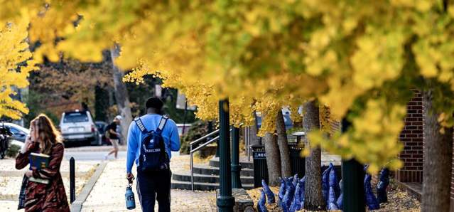 Countdown to Fall in Chapel Hill and Orange County