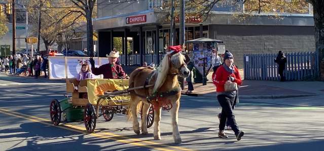 Festive Holiday Events in Chapel Hill & Orange County, NC