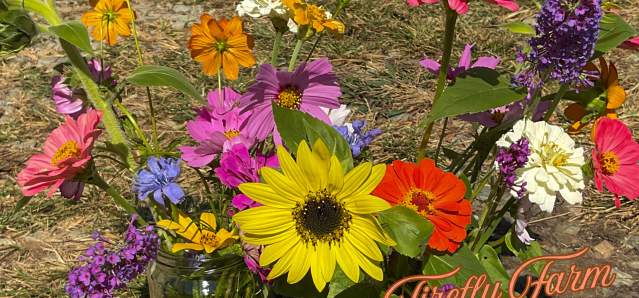 Pick or Cut Your Own Fruit and Flowers at these Orange County, NC Farms