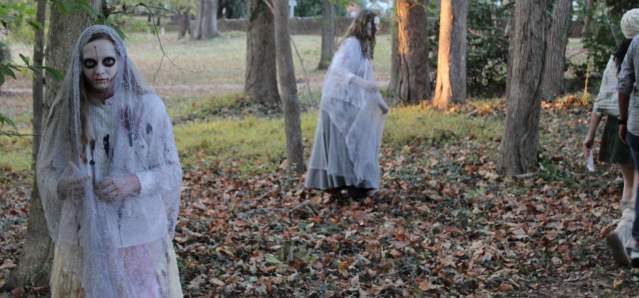 Where the Spirits Roam: Haunts, Happenings, & Halloween Cheer