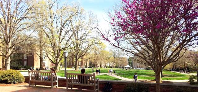 UNC Campus Spring time