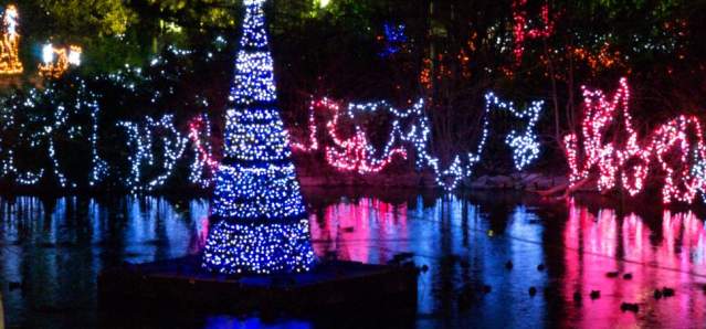 PNC Festival of Lights (photo: Cincinnati Zoo)
