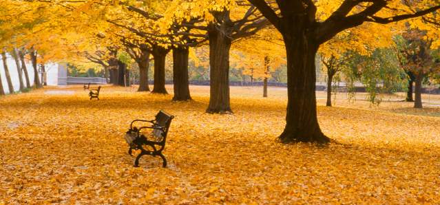 Fall in Brandywine Park