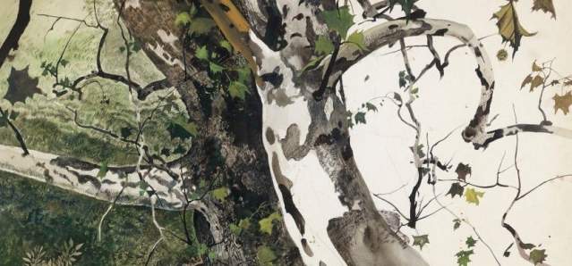 Every Leaf and Twig: Andrew Wyeth's Botanical Imagination