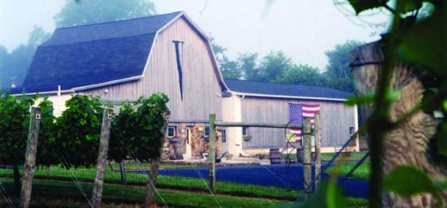 Va La Vineyards