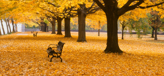 Fall in Brandywine Park
