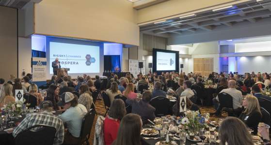 Celebrating Excellence: Announcing the 2025 Black Diamond Awards Nominees!