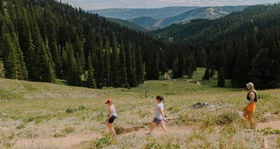 Hiking Essentials In Big Sky Country