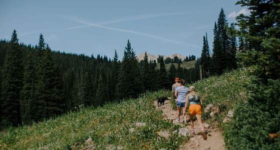 Summer Hiking in Big Sky: 5 Must-Visit Trails