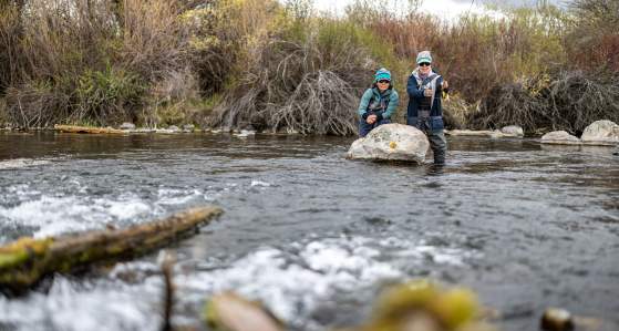 Finding Peace and Purpose: A Look at Warriors & Quiet Waters