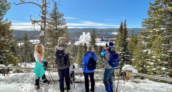 Top Reasons To Visit Yellowstone National Park In Winter