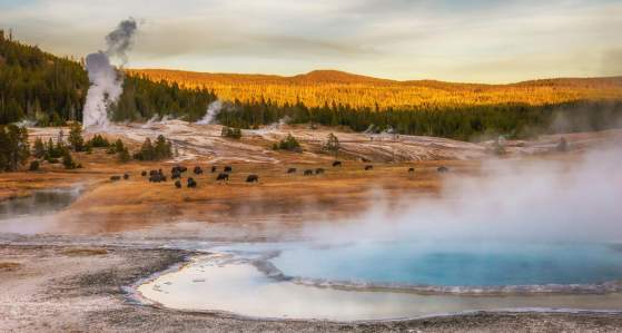 Why Fall Is One of the Best Times to Visit Yellowstone National Park