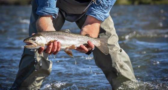 6 Tips For Successful Catch and Release Fishing