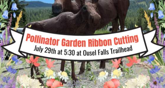 Pollinator Garden Ribbon Cutting