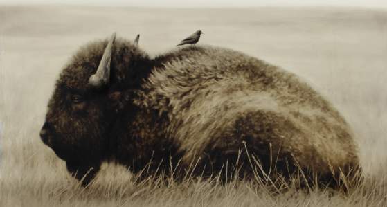 Visions of the West - Kenneth Peloke Solo Exhibition