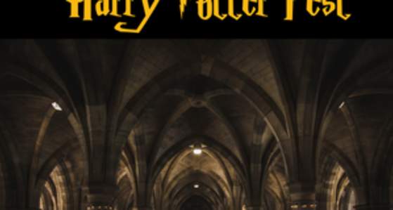 Harry Potter Fest - The Chamber of Secrets