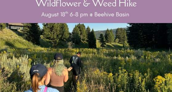 Wildflower & Weed Hike