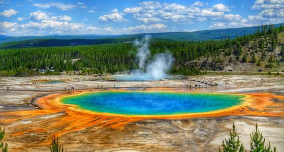 Yellowstone National Park Tour