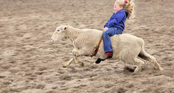 Free Community Day & Mutton Bustin'