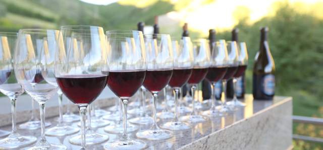 Sip, Savor, and Learn With the Fox School of Wine in Park City