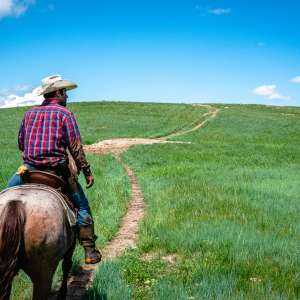a cowboy riding a horse on the open plains