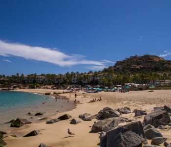 Palmilla Beach Visit Los Cabos White Sand Swimmable In Cabo Palmilla Beach Visit Los Cabos