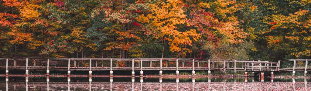 Fall Leaves Guide to Fort Wayne Indiana Visit Fort Wayne