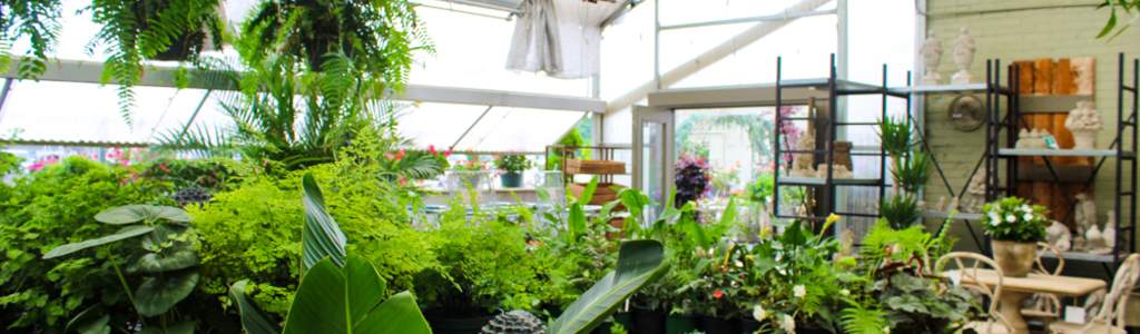 Where To Find Gorgeous Plants In Huntsville