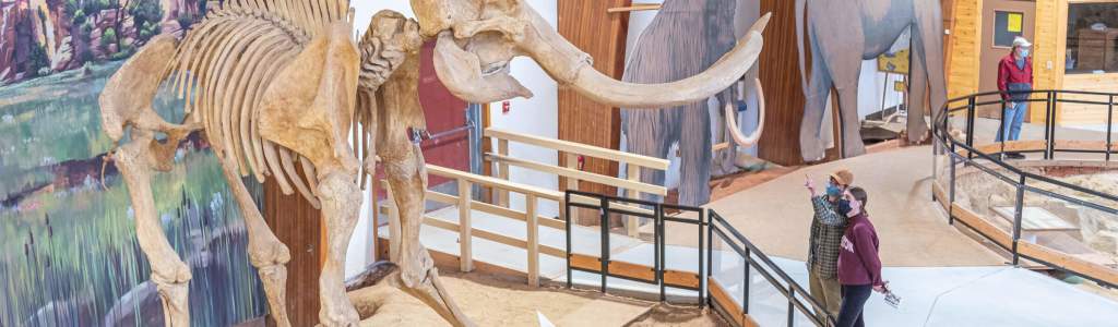 Dig Into The Mammoth Site Sinkhole For A Colossal Adventure Near
