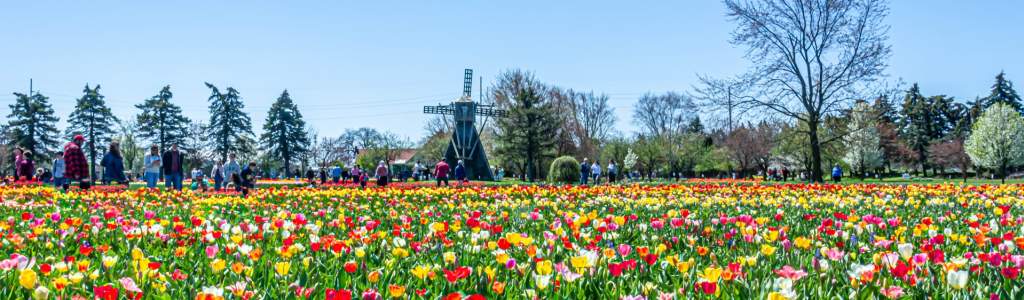 From Tulip Time to Mother's Day fun: Check out these May Events