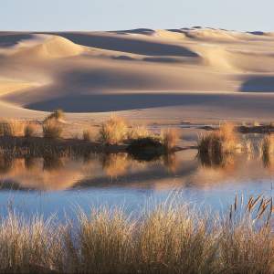 Four Ways to Explore Oregon's Sand Dunes