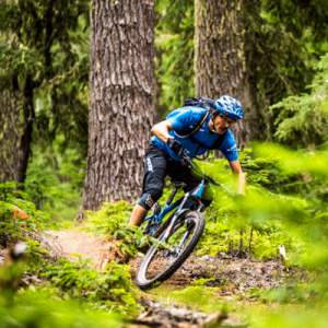 Mountain Biking Alpine Trail by Anthony Smith