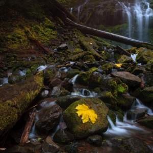 Colorful Autumn Waterfalls