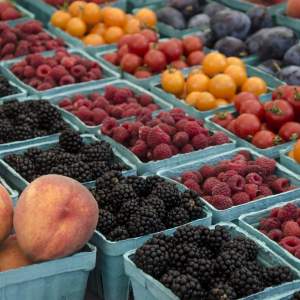 Food & Crops by Season