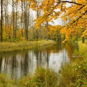 Best Bets For Colorful Fall Hikes