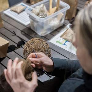 Alpaca Fibre experience