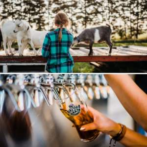 Barns, Brews & Bites