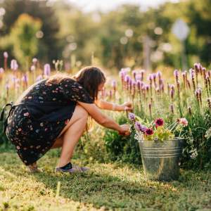 Makkink's Flower Farm: Cut Your Own Bouquet of Flowers and Happiness