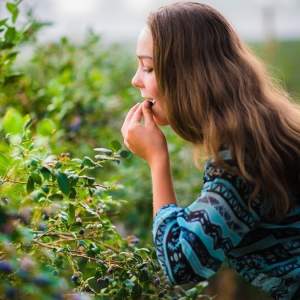 Pick Your Own in Oxford