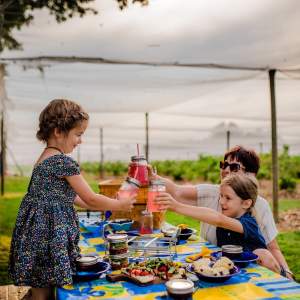 Berrylicious Family Kids Picnic