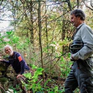 Nith River Forest Hiking