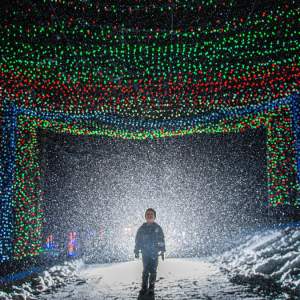 Kid under a tunnel of lights