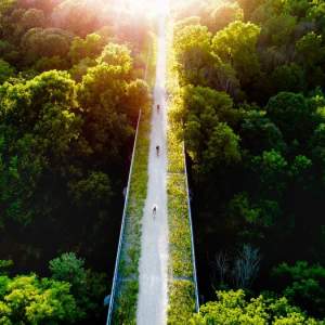 bicycles on a bridge