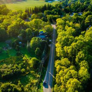Long road surrounded by trees