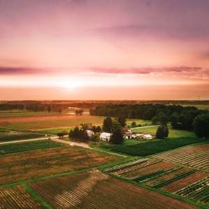Fields Farm Sunset Rural