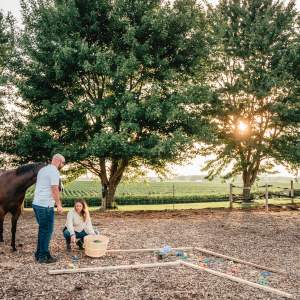 Dudek Photography (Transitions Equine)- 031 (1)