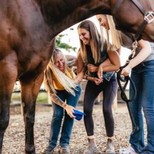 Transitions girls night experience