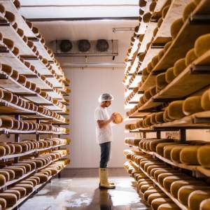 Gunn's Hill Artisan Cheese: Pull Over for Award-Winning Local Cheese