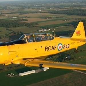 Let Your Passion for Aviation History Soar with the Canadian Harvard Aircraft Association